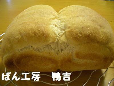 4月27日 自家製酵母パン１.JPG