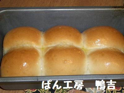 ３月８日 ミニ食パン.JPG
